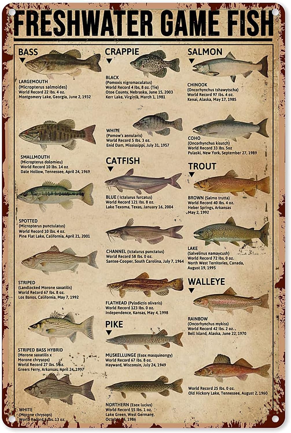 Retro Gaming Us - Y1,Fishing Art Posters Metal Sign Freshwater